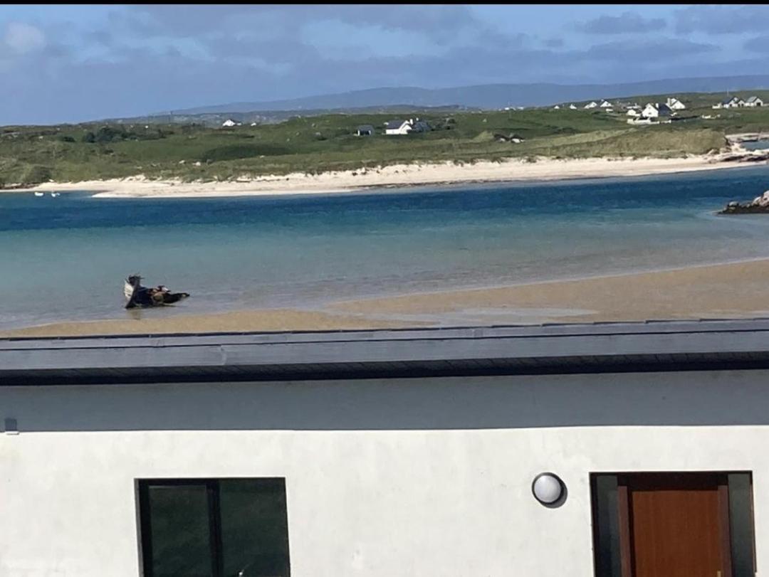 Ostan Gweedore Deluxe Apartments Bunbeg Kültér fotó